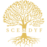 Scemdyf diseño web